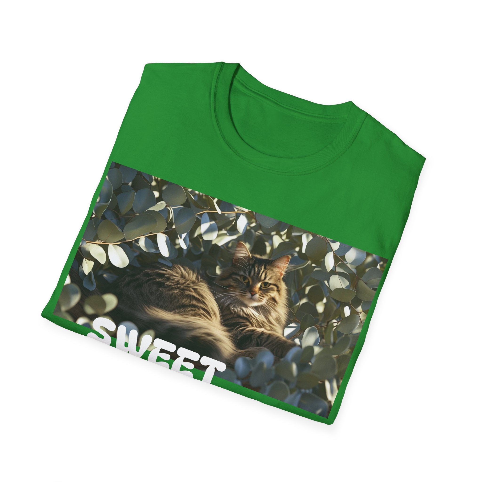 Cozy Cat Lover T-Shirt, Cat Mom, Animal Lover Apparel